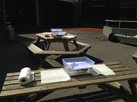 The set-up for the Salvaging Water Logged Material Workshop